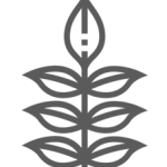 www.byronherbalist.com.au