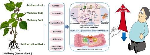www.sciencedirect.com