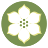 dogwoodbotanical.com