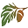 www.acornherbschool.com